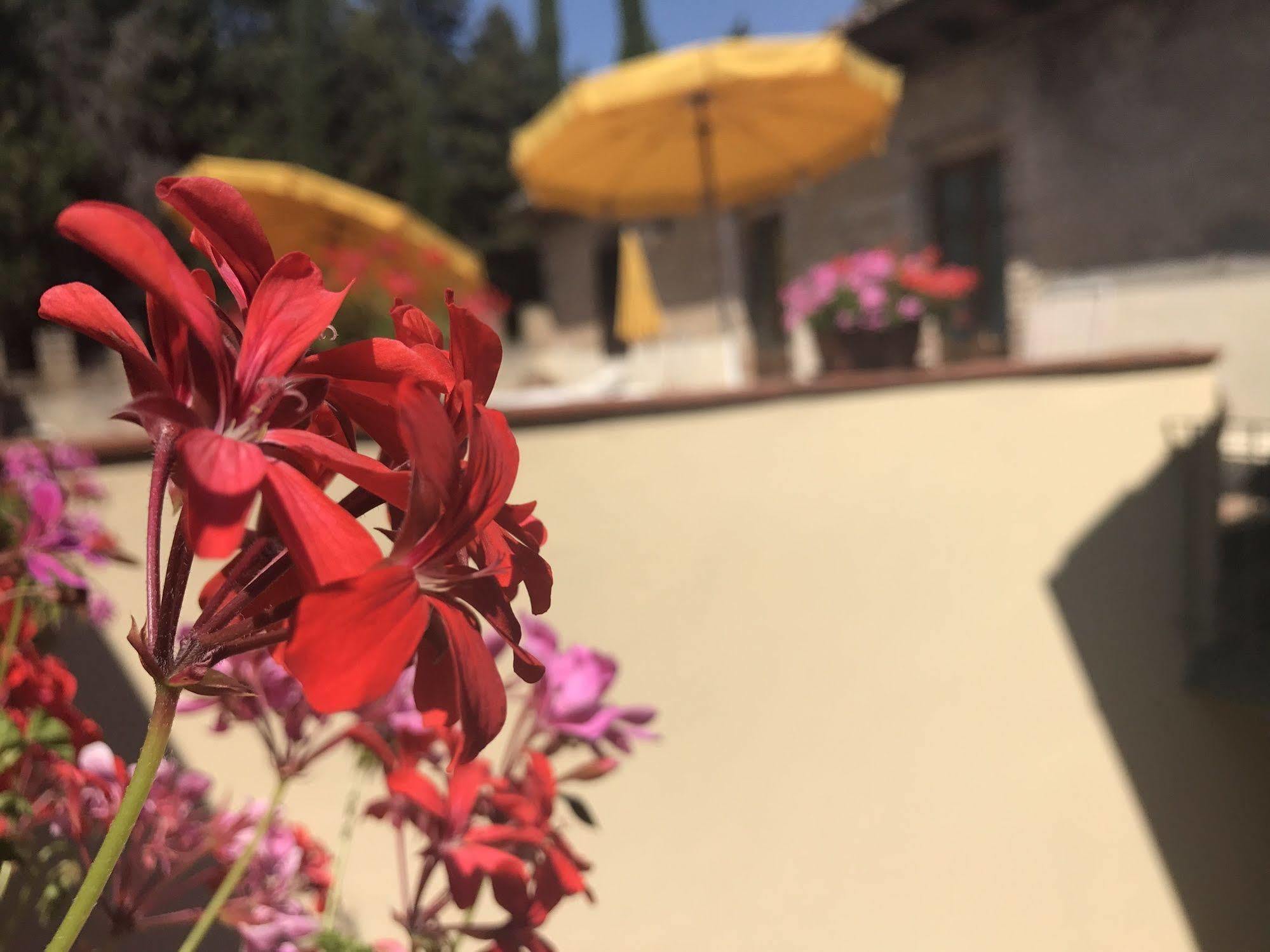 Ferienwohnung Castello Di Fezzana Montespertoli Exterior foto